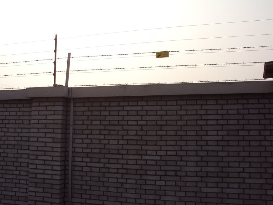 pulse_15.jpg